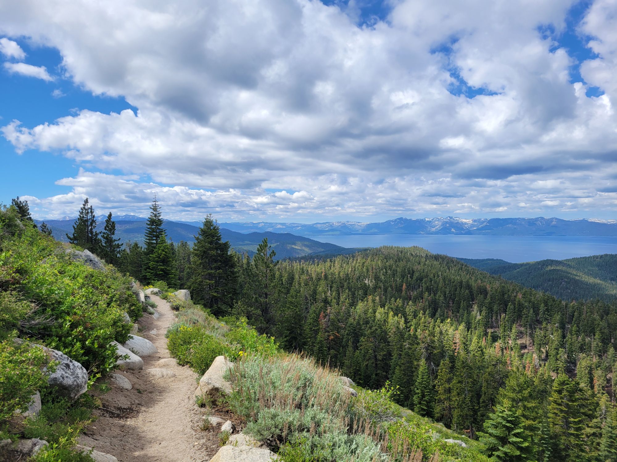 Tahoe Rim Trail, Part 1