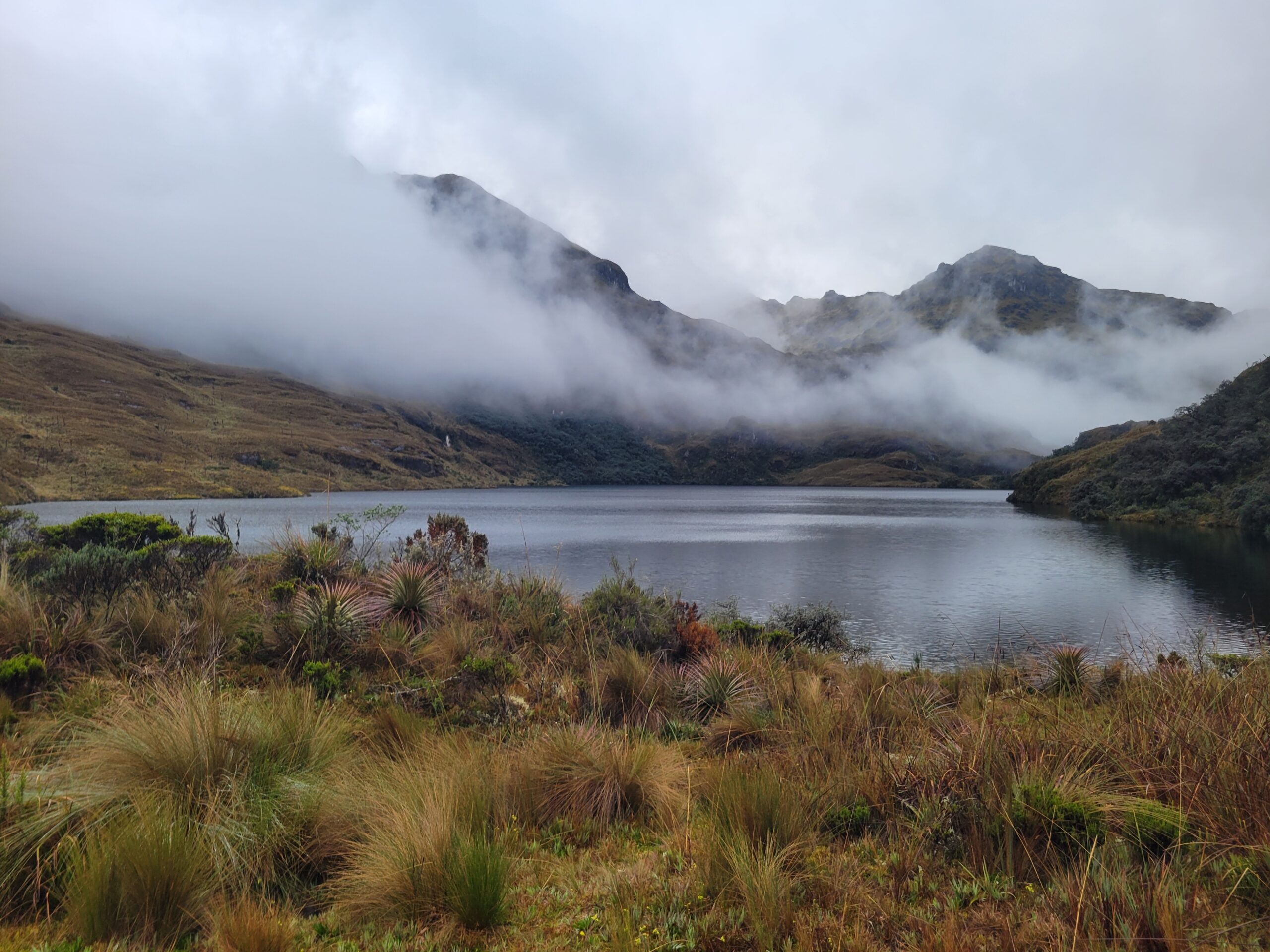 Cajas, de Toreadora a Zorrocucho